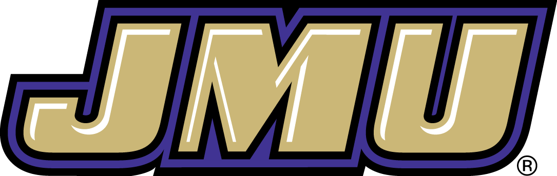 James Madison Dukes 2013-2016 Wordmark Logo v2 DIY iron on transfer (heat transfer)